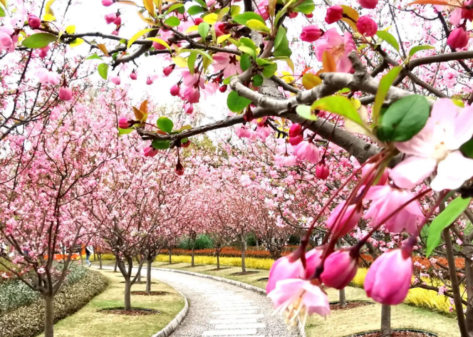 博尔塔拉旅游_博尔塔拉旅游攻略
