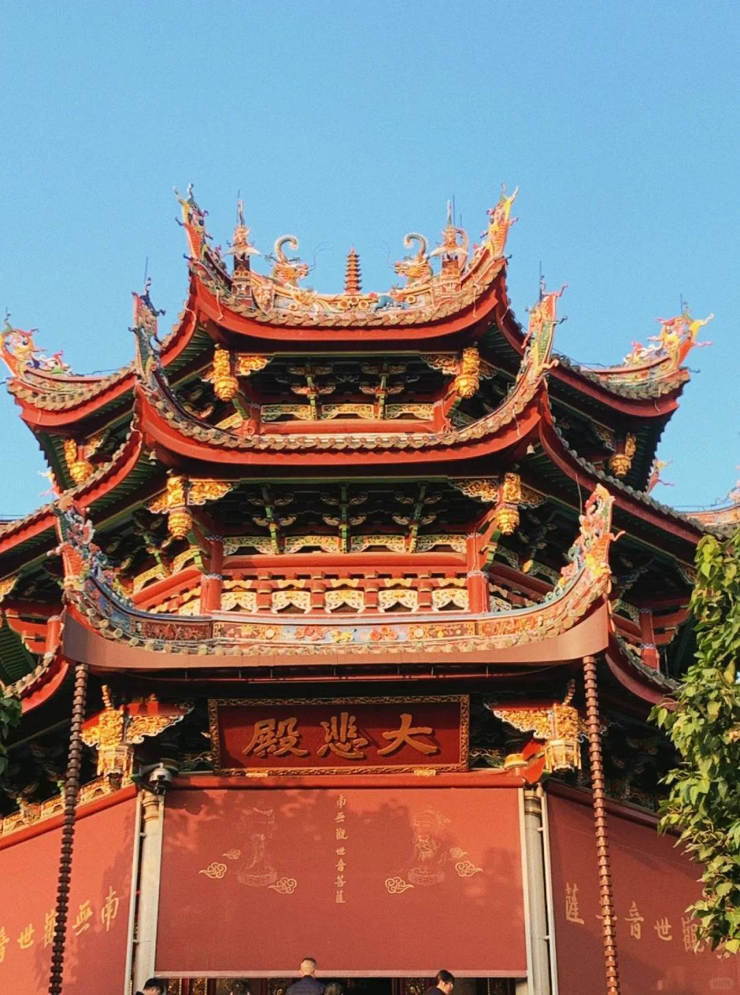 厦门武夷山旅游攻略_厦门武夷山旅游攻略管家