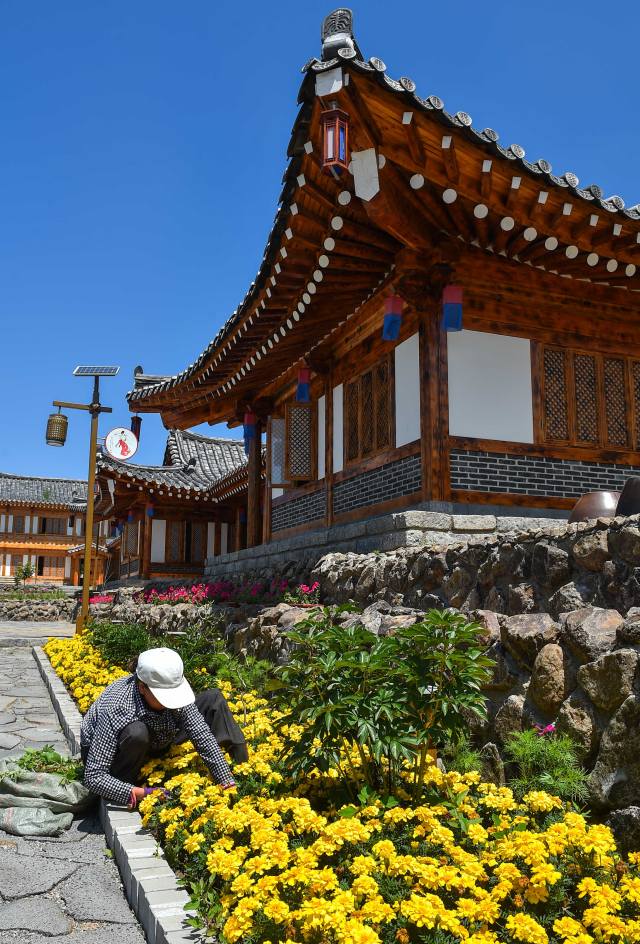 旅游农业_旅游农业核心思想是什么