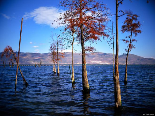 昆明旅游景点_昆明旅游景点推荐 昆明旅游景点_昆明旅游景点推荐
