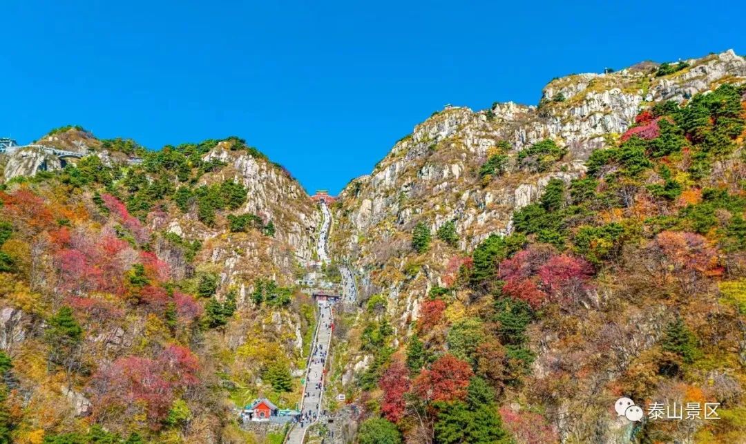 青岛旅游政务_青岛市旅游政务网