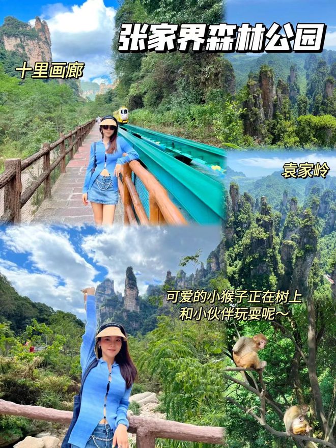 张家界旅游社_张家界旅游社排名前十