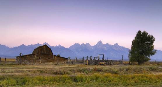 泰格旅游网_泰格旅游鞋正版多少钱