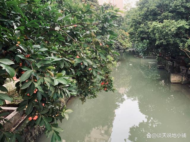 小洲村旅游攻略_小洲村旅游攻略路线