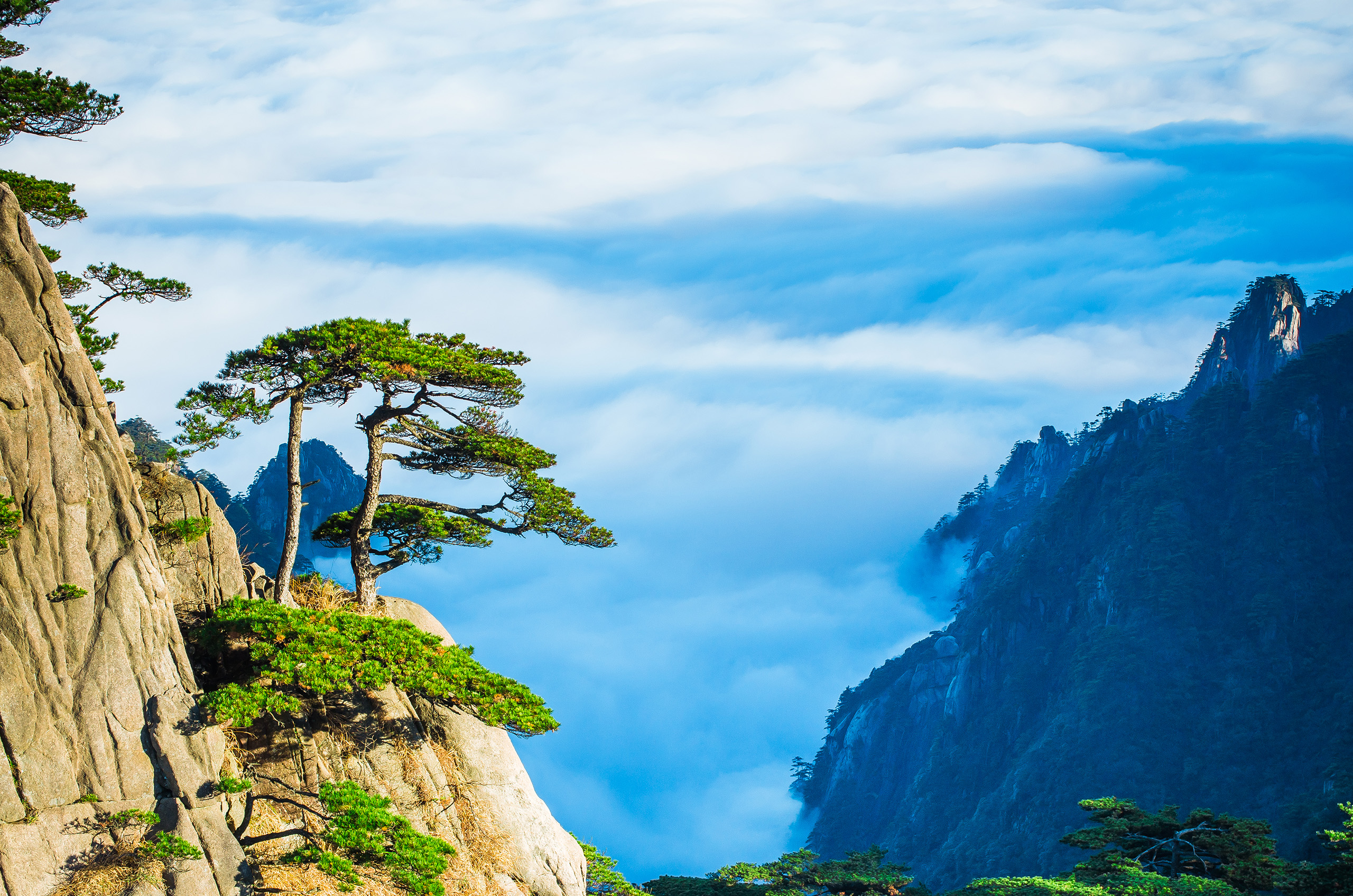 黄山旅游景点_黄山旅游景点分布图