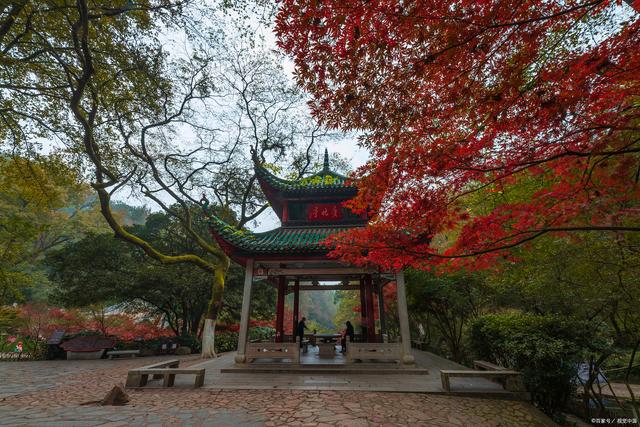 长沙市内旅游景点_长沙市内旅游景点大全集