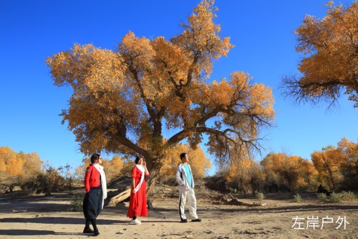 额济纳旗旅游_额济纳旗旅游专列 额济纳旗旅游_额济纳旗旅游专列