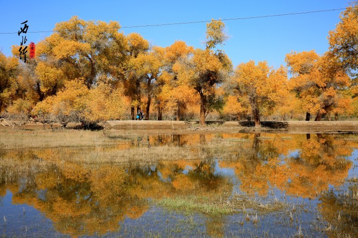额济纳旗旅游_额济纳旗旅游专列 额济纳旗旅游_额济纳旗旅游专列