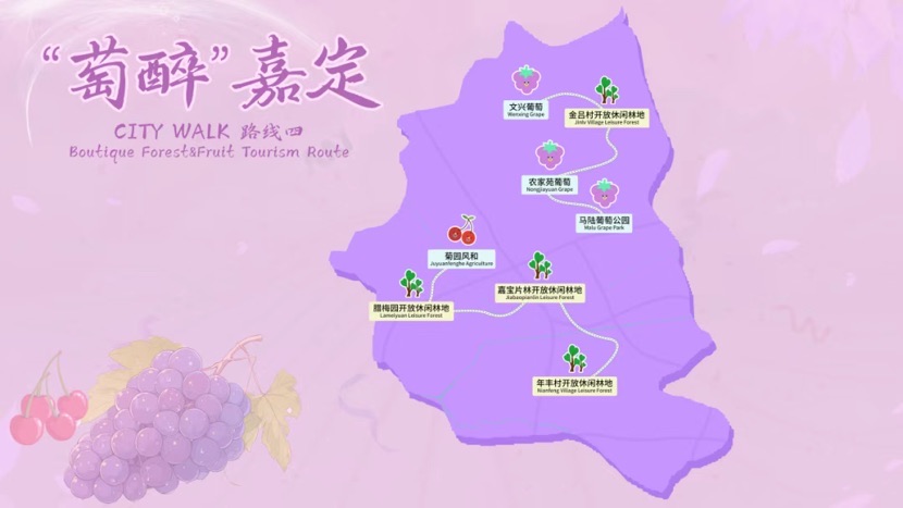 上海旅游线路_上海旅游线路设计