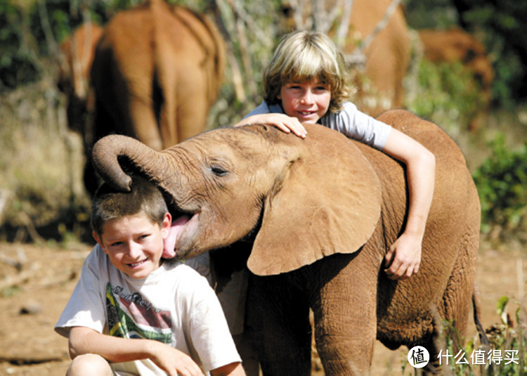 肯尼亚旅游攻略_肯尼亚旅游攻略思维导图
