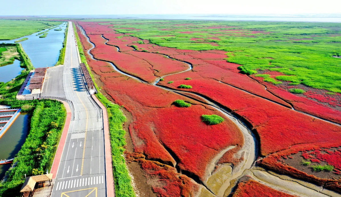 盘锦湿地旅游周_盘锦被誉为湿地之都