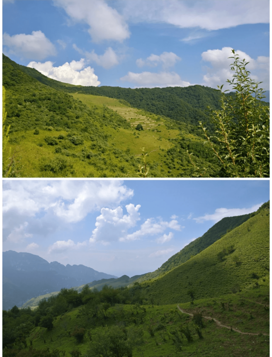 驰骋旅游网_驰骋网是哪一家公司的