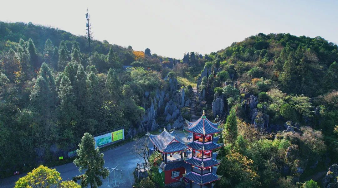 华蓥山旅游_华蓥山旅游攻略