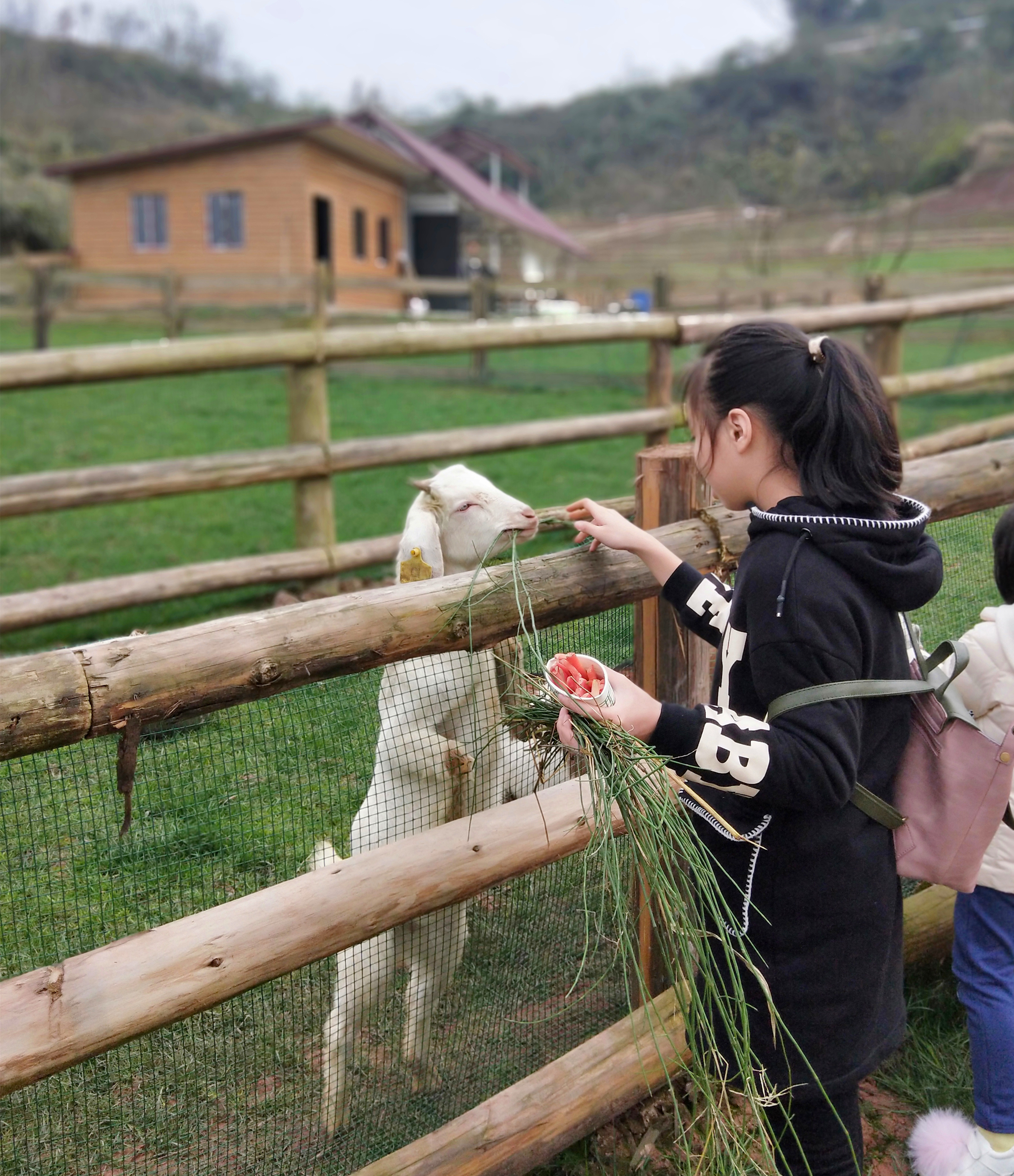 农业观光旅游_农业观光旅游项目可行性报告