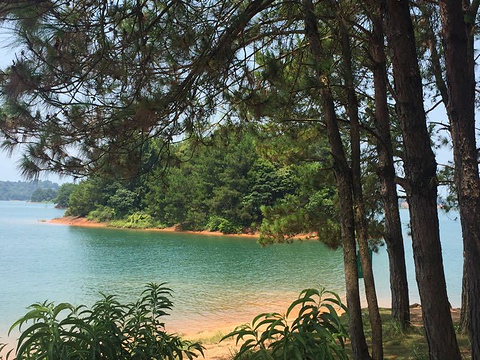 万绿湖旅游_万绿湖旅游攻略详解
