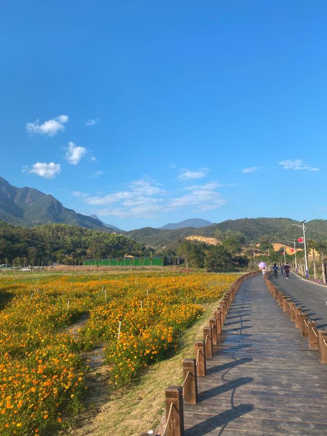 汕尾旅游_汕尾旅游住宿哪里最好