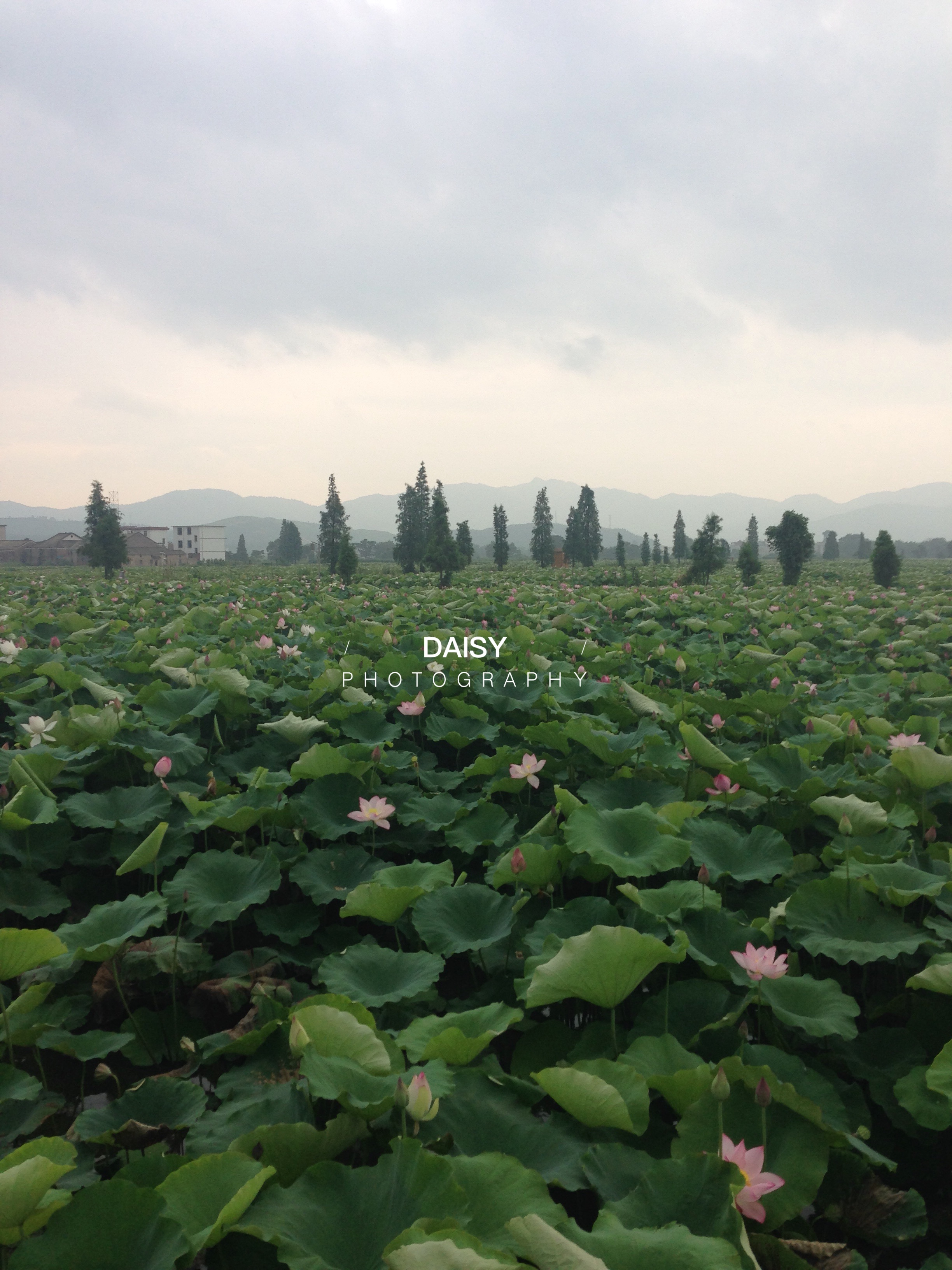 花莲旅游_花莲有什么好玩的景点