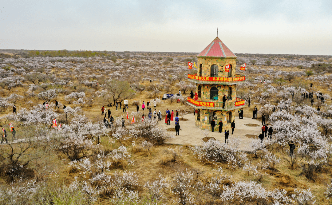 白城旅游_白城旅游攻略景点推荐