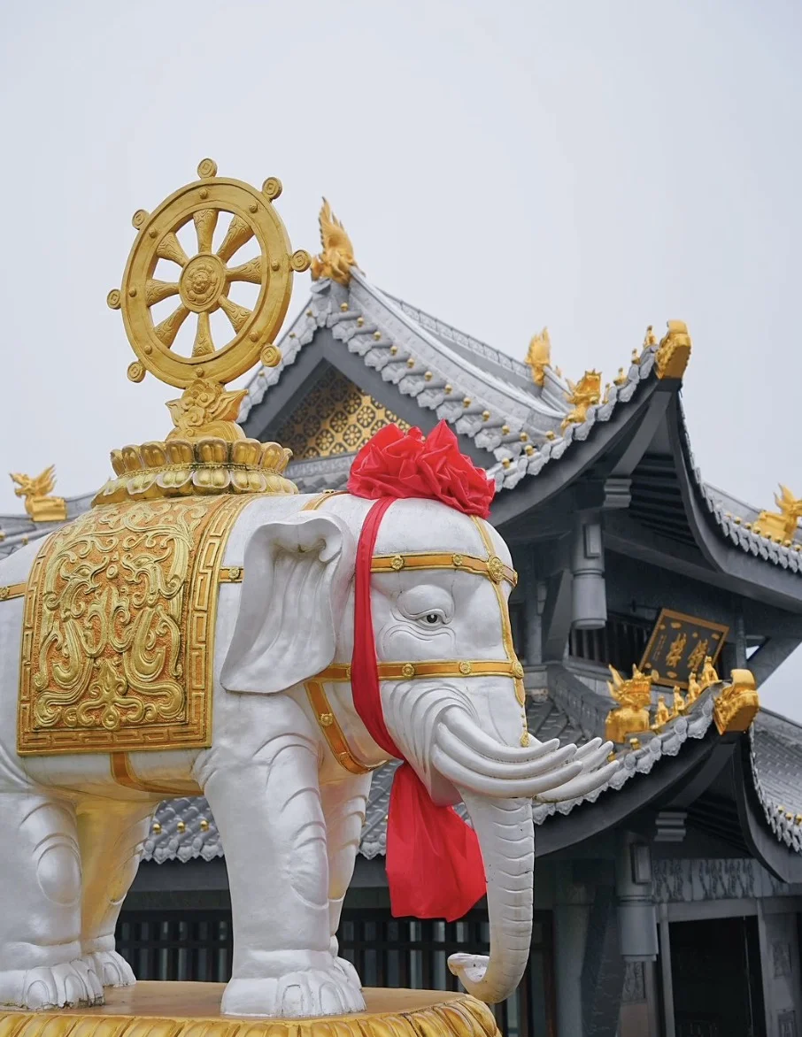 龙行天下旅游_龙行天下旅游公司吉林大街