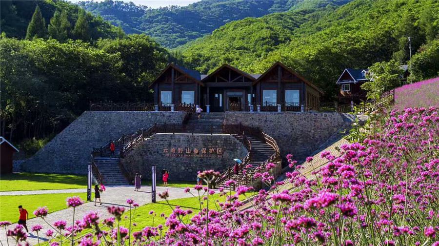 通化旅游景点大全_通化旅游景点大全排名