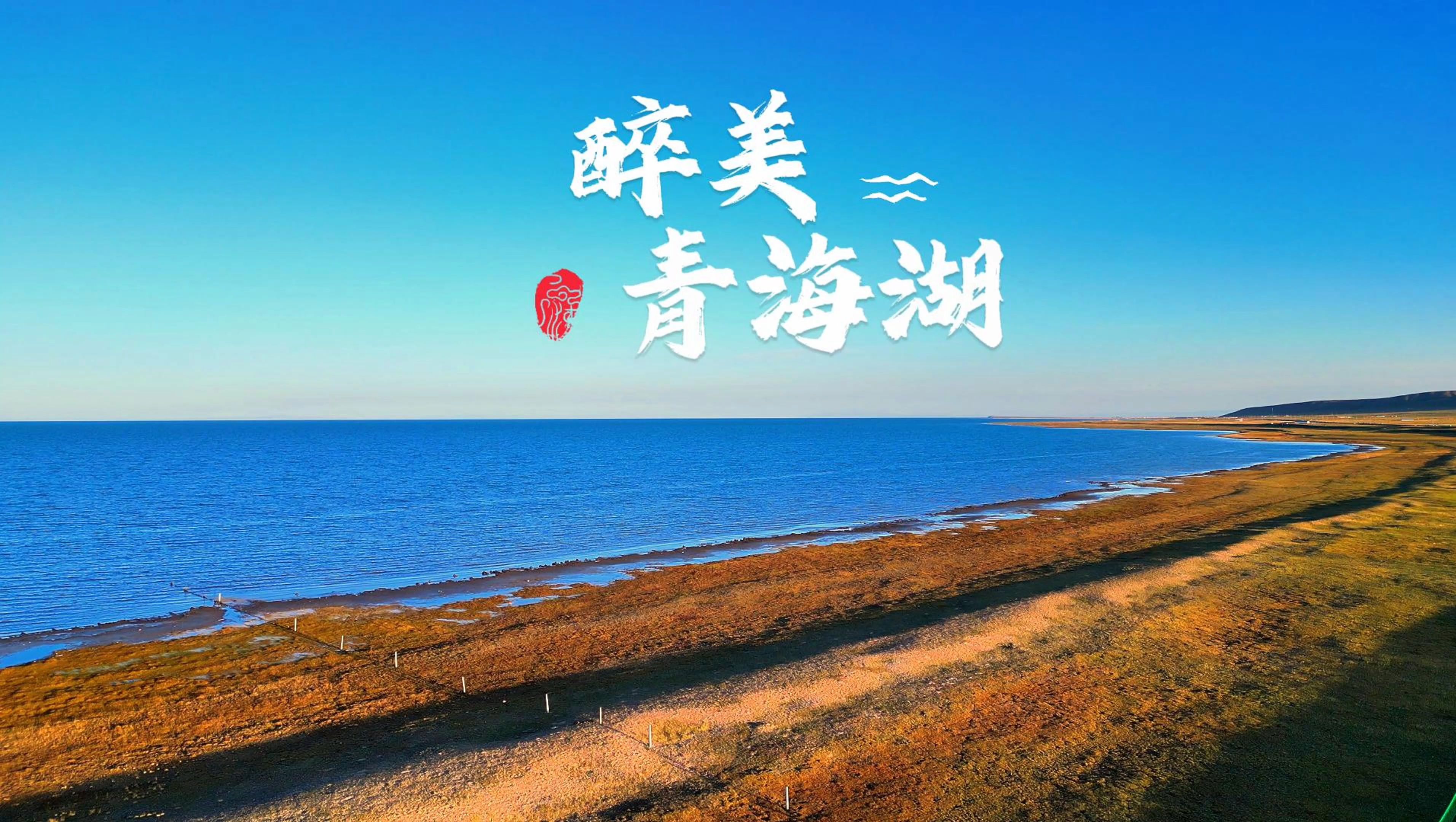 青海湖旅游_青海湖旅游最佳时间6月9日