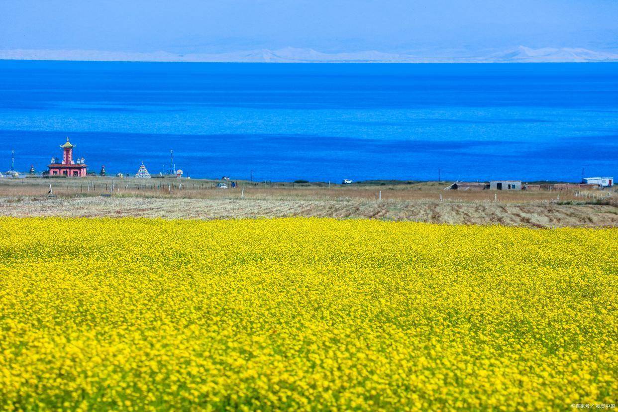 青海湖旅游_青海湖旅游最佳时间6月9日