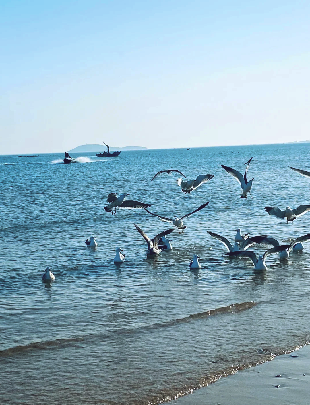 威海旅游团_威海旅游团三日游