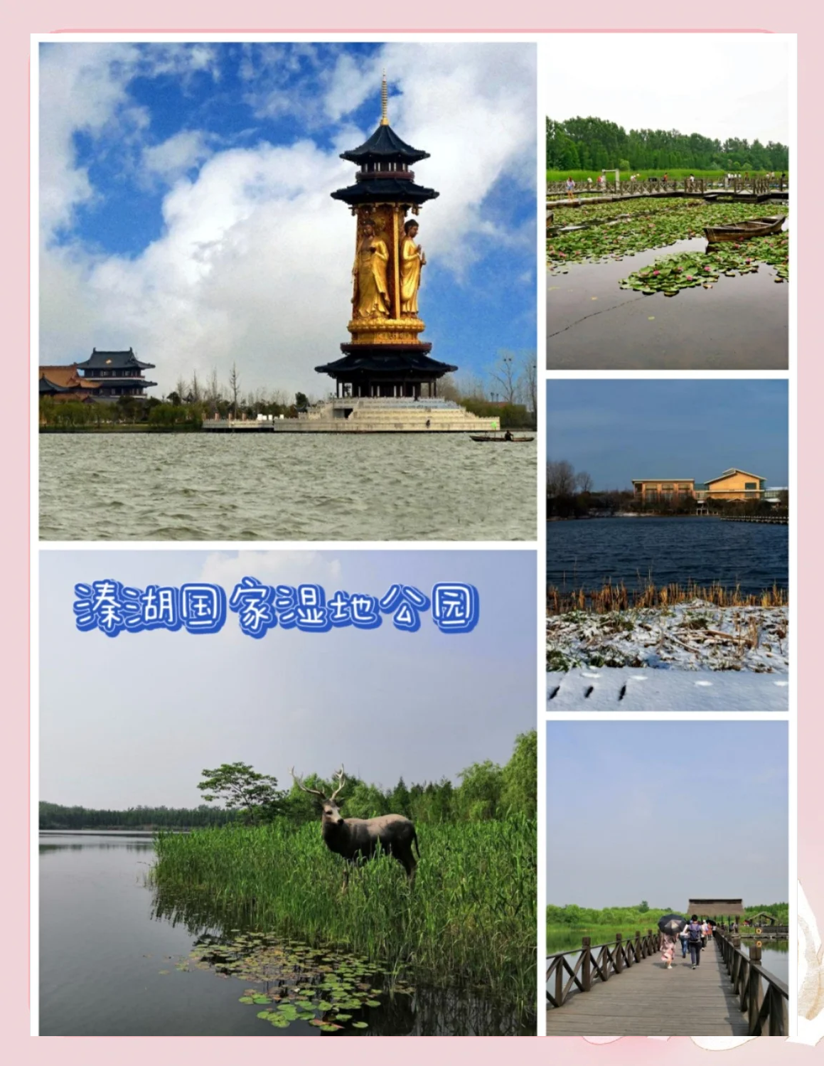 泰州旅游_泰州旅游住哪里最方便呢