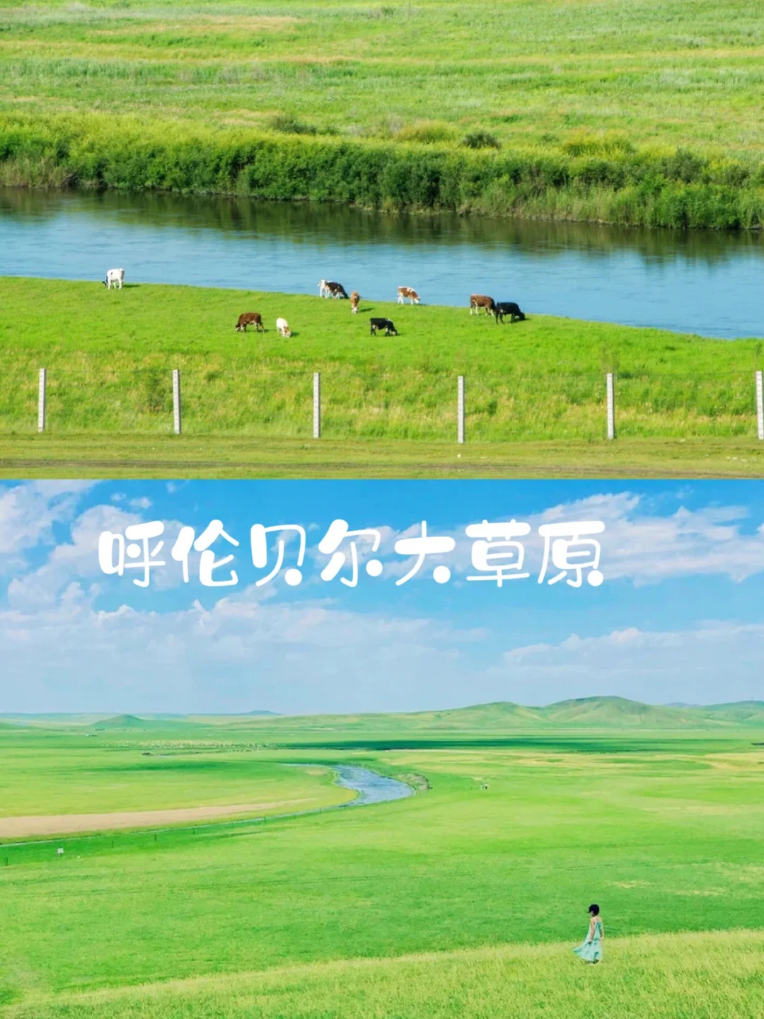 驰骋旅游网_驰骋实业有限公司