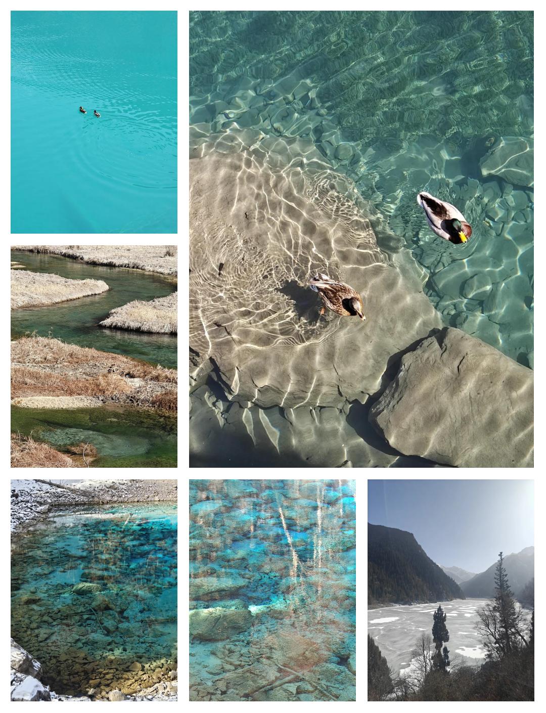 冬天九寨沟旅游攻略_冬天九寨沟旅游攻略一日游 冬天九寨沟旅游攻略_冬天九寨沟旅游攻略一日游