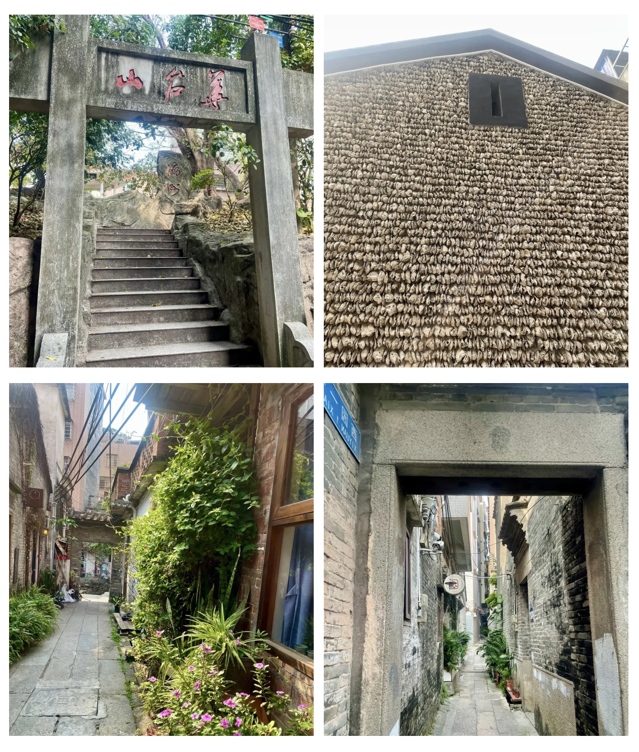 小洲村旅游攻略_小洲村旅游攻略最新