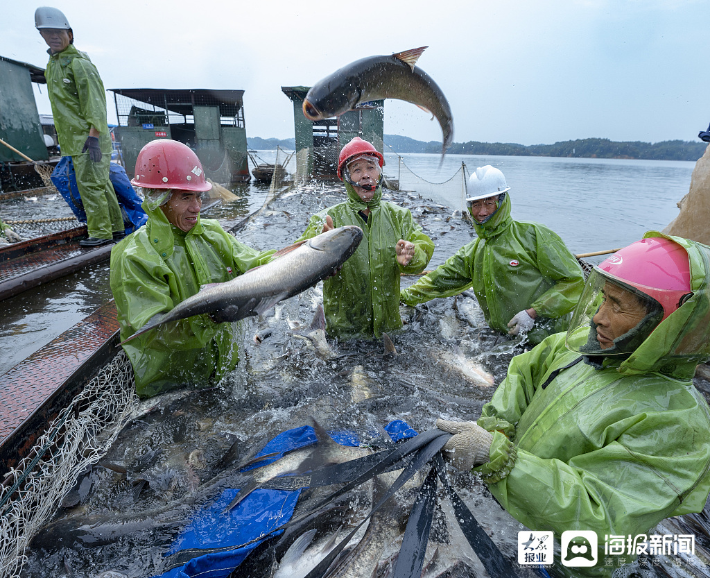 渔民旅游网_渔民村的历史