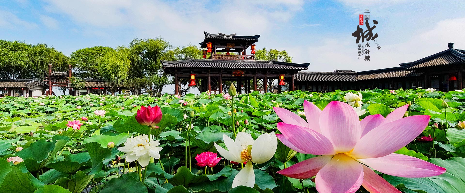 去哪里旅游比较好玩_春节穷游最舒服10个地方