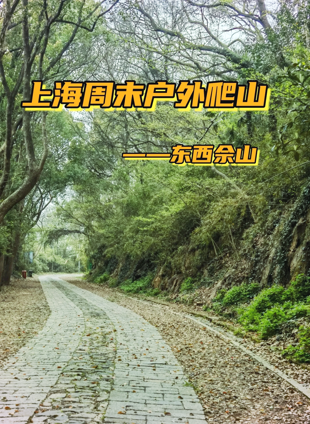 佘山旅游攻略_佘山旅游攻略一日游 佘山旅游攻略_佘山旅游攻略一日游