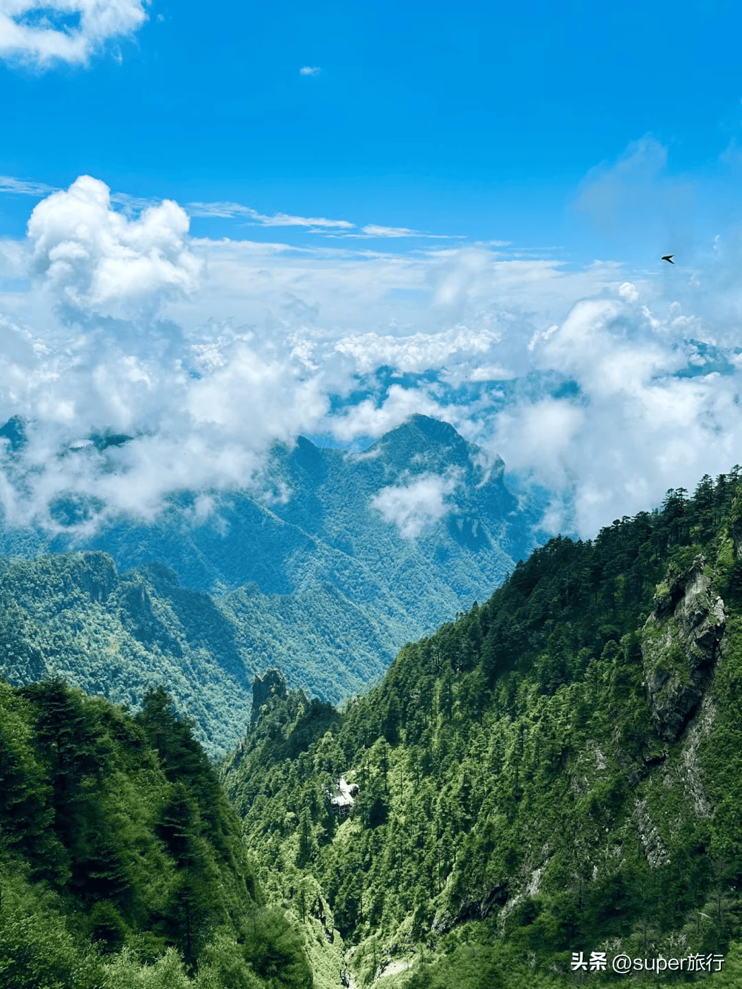 湖北神农架旅游_湖北神农架旅游景点介绍神农架在哪里