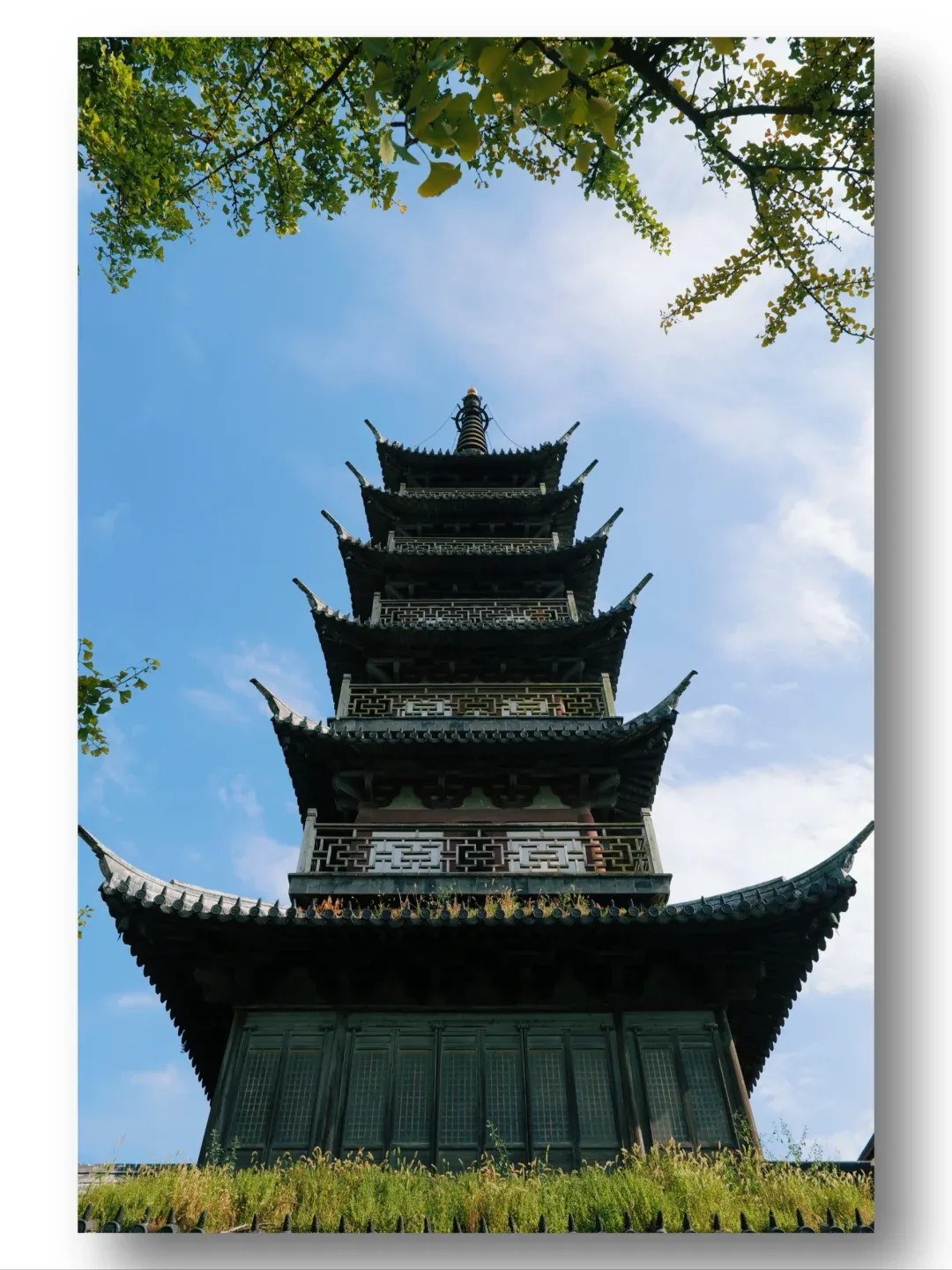 上海金山旅游_上海金山旅游景区