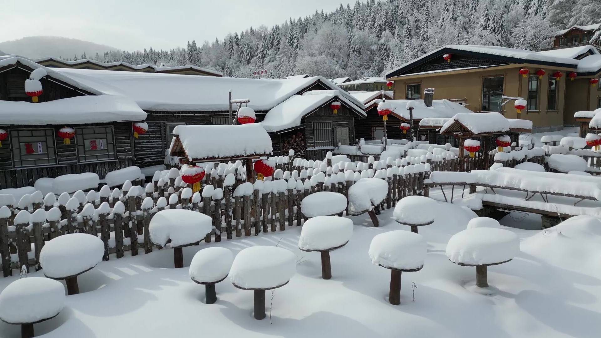 雪乡旅游_雪乡旅游图片