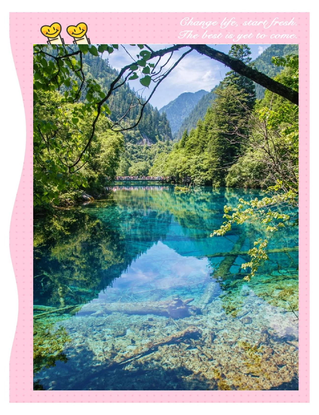 四川九寨沟旅游_四川九寨沟旅游攻略及费用