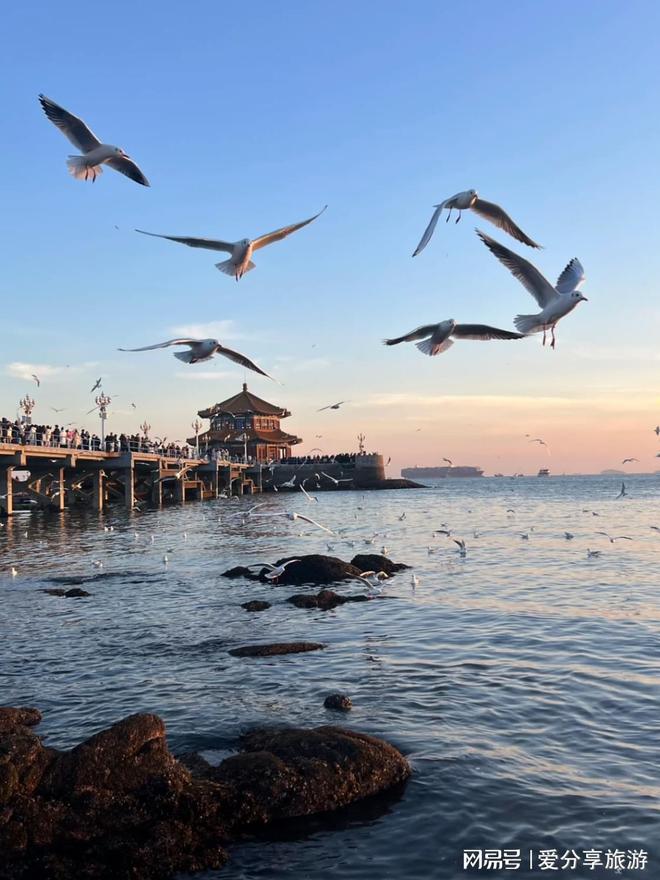 青岛旅游_青岛旅游几月份去最好