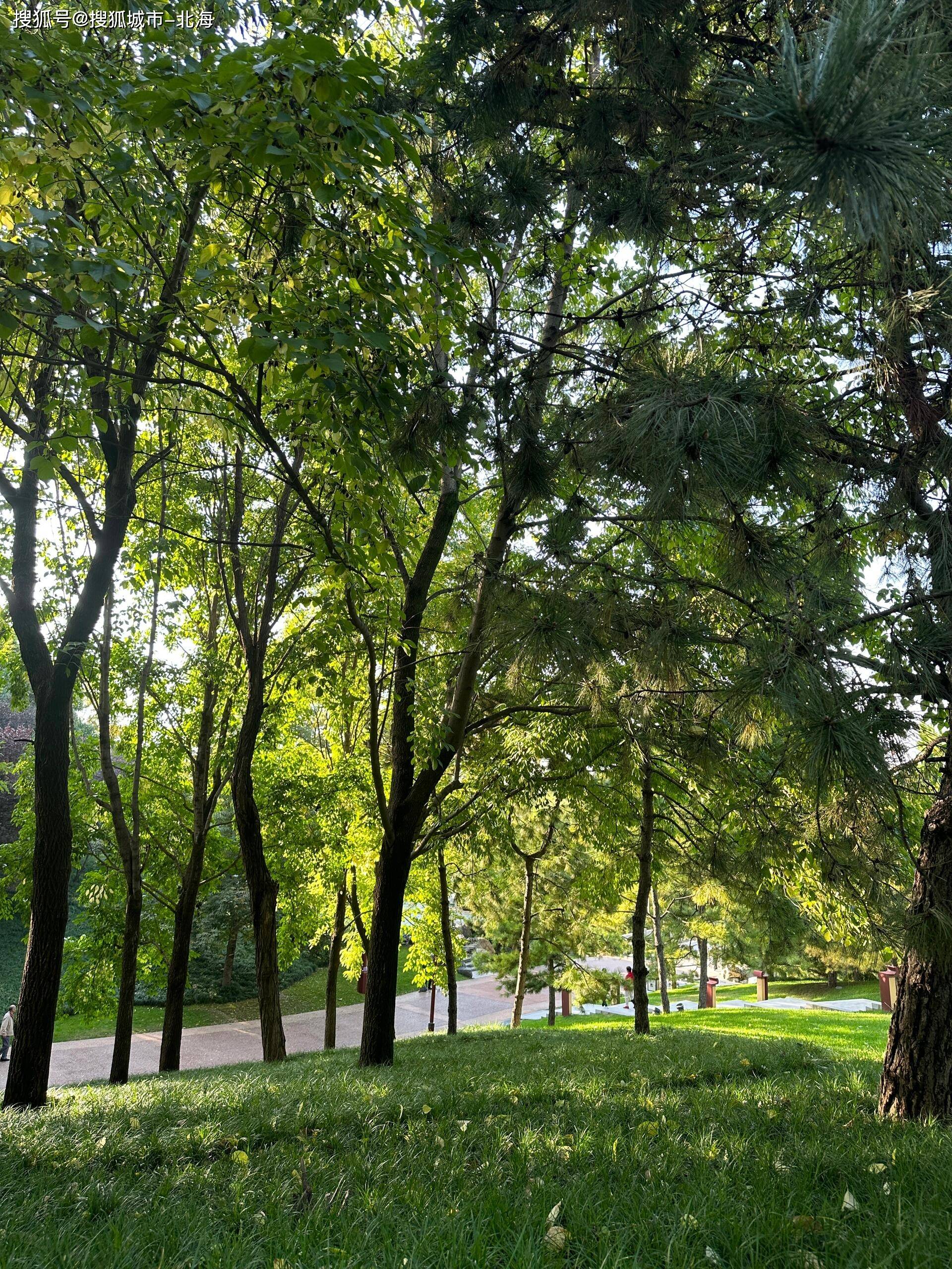 西安旅游社_西安旅行社排名前十名联系电话