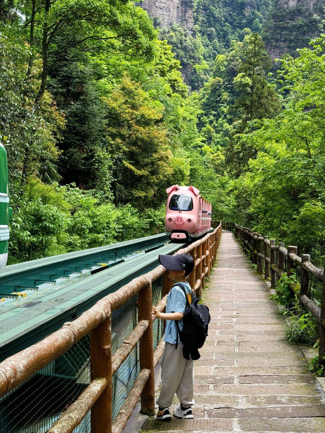 张家界自助旅游_张家界自助旅游服务中心地址