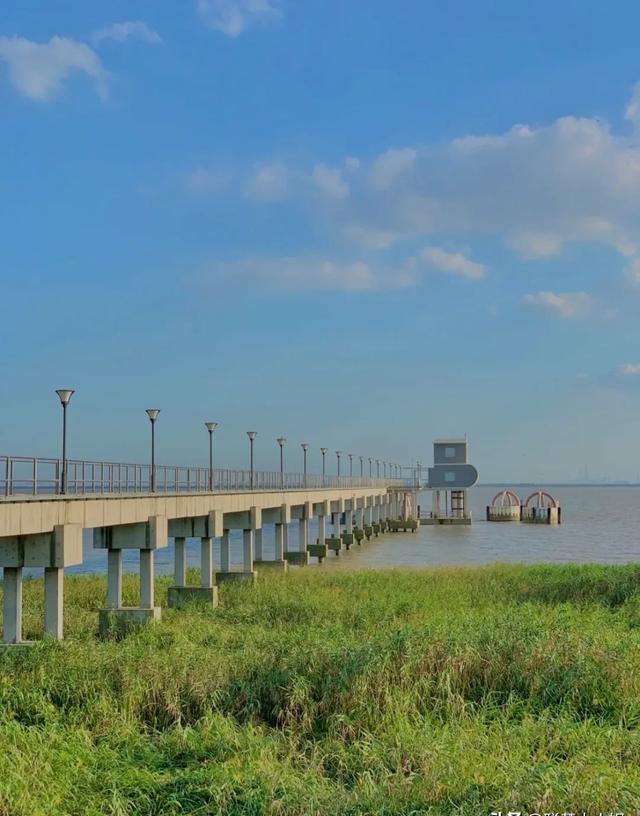 上海崇明岛旅游_上海崇明岛旅游攻略一日游