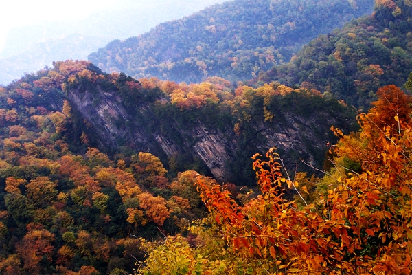 巴中旅游_巴中旅游公司哪家好