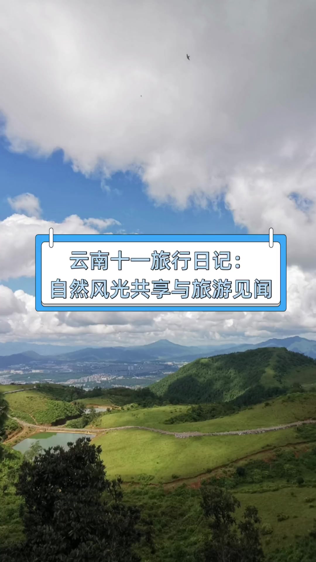 十一云南旅游_十一云南旅游报价