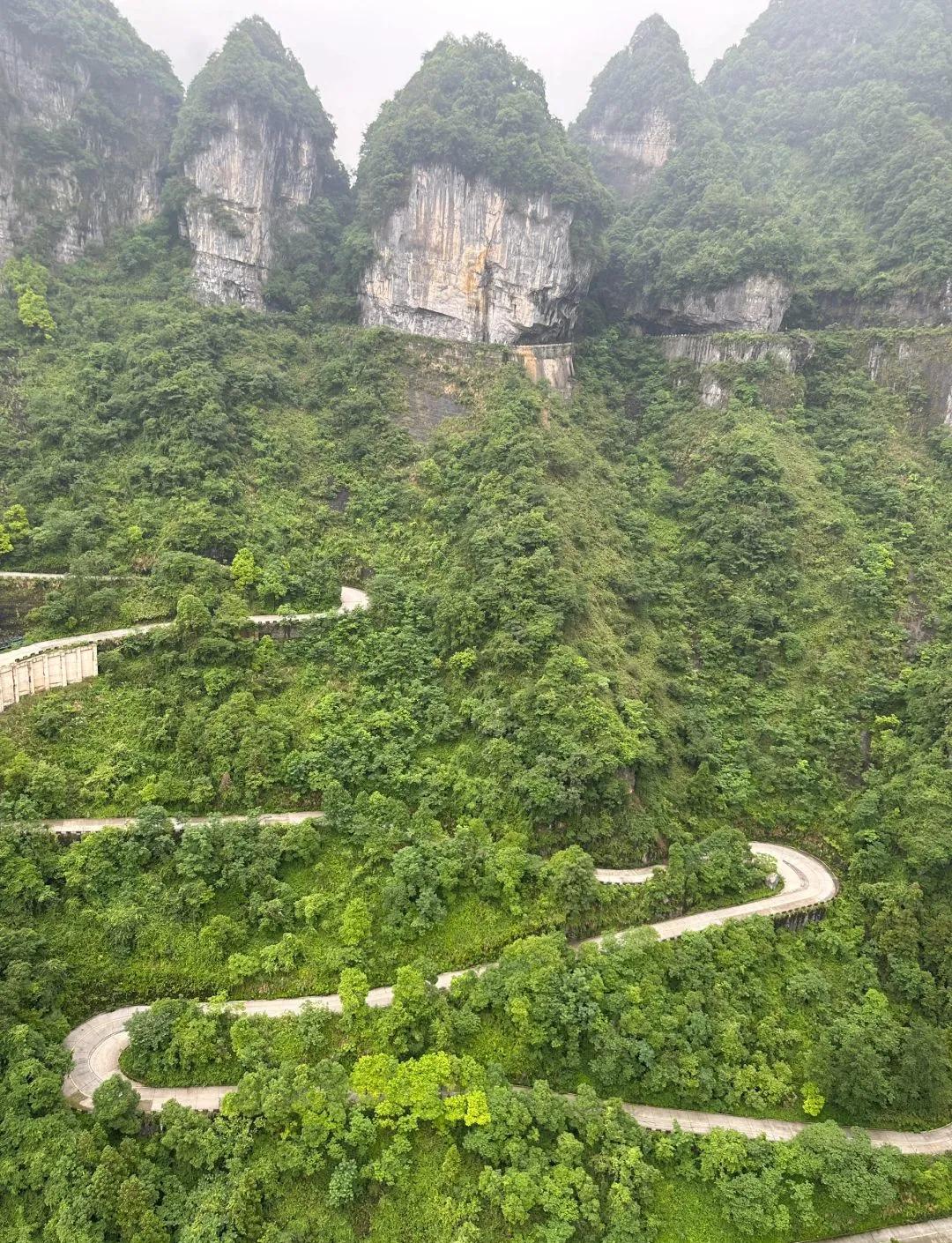 张家界旅游在线_张家界旅游在线预约