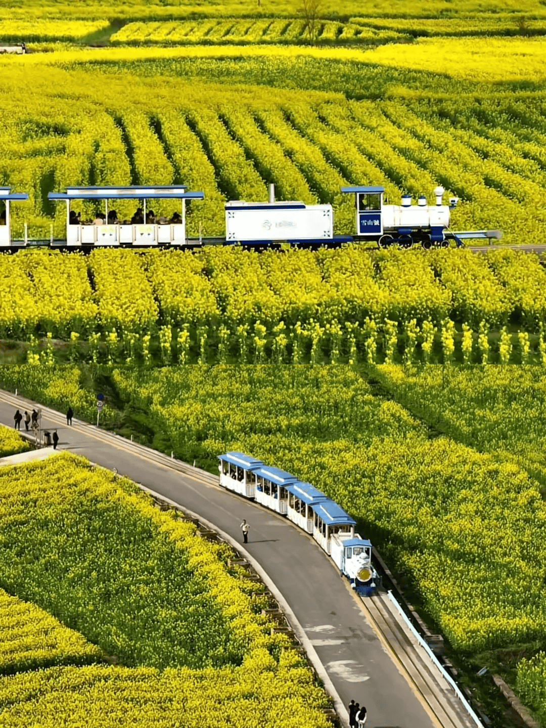 春天去哪里旅游好_春天去哪里旅游好玩又便宜在平顶山