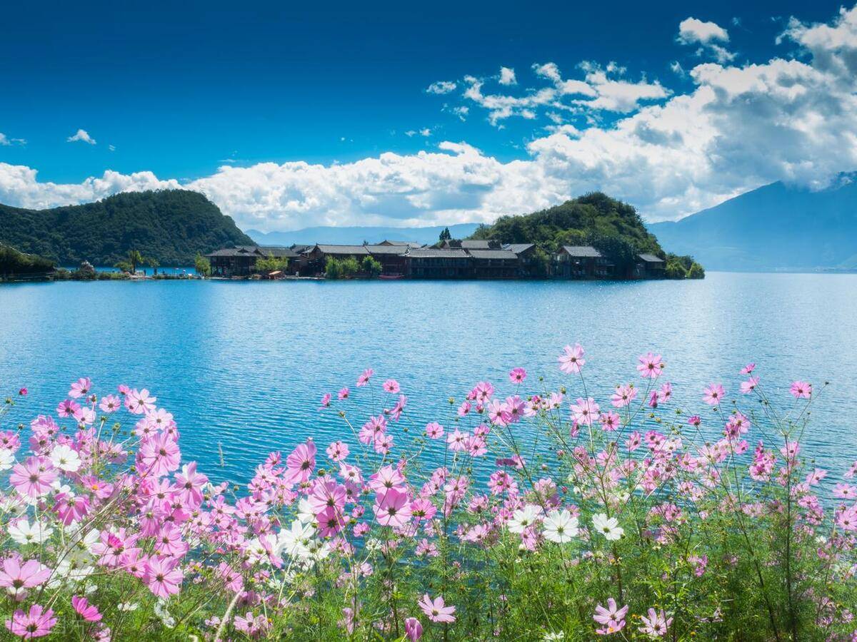 春天去哪里旅游好_春天去哪里旅游好玩又便宜在平顶山