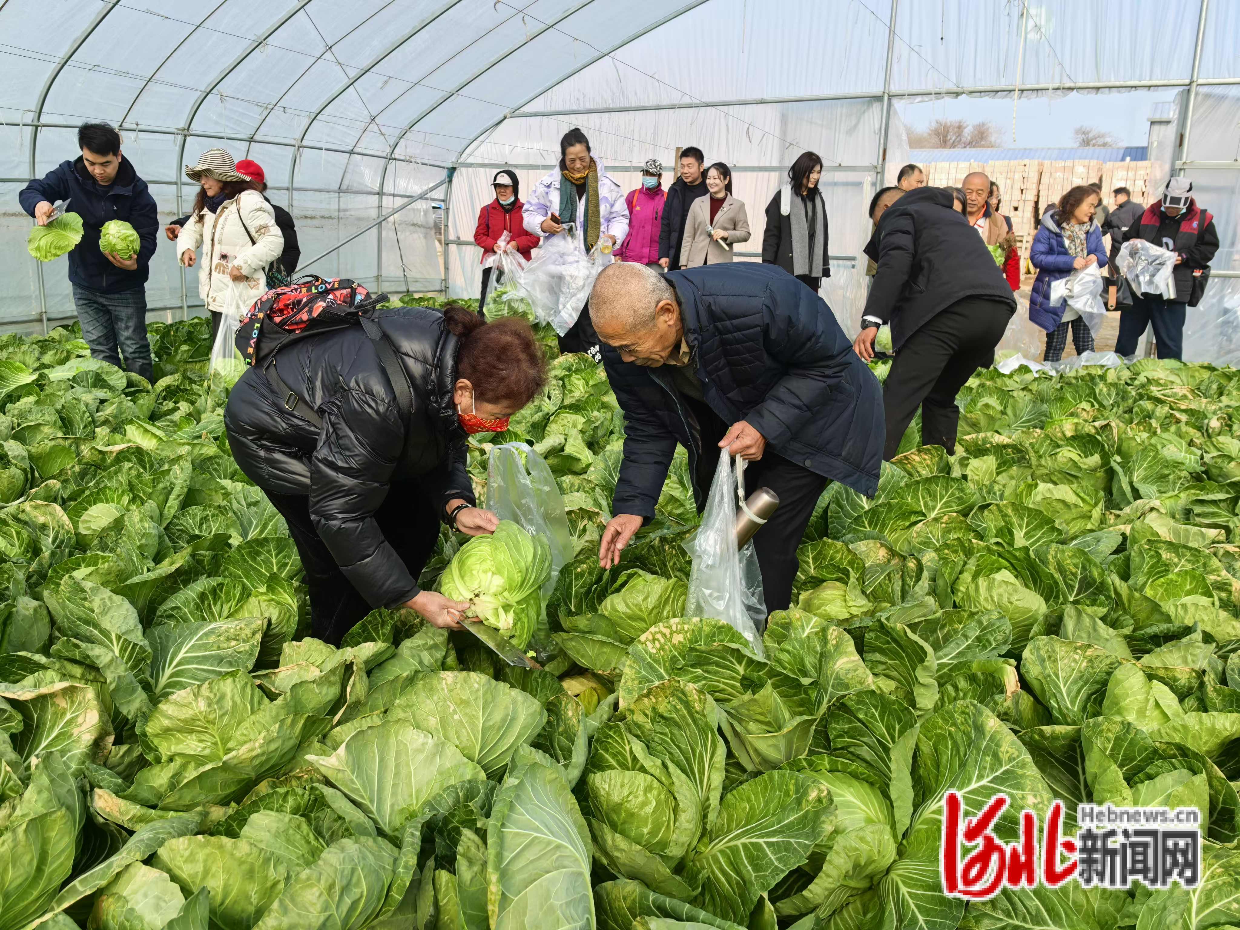 邢台旅游团_邢台旅行社电话名录
