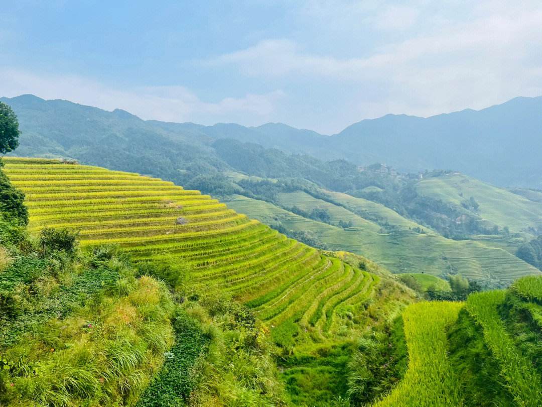 龙脊旅游_龙脊旅游有限责任公司招聘