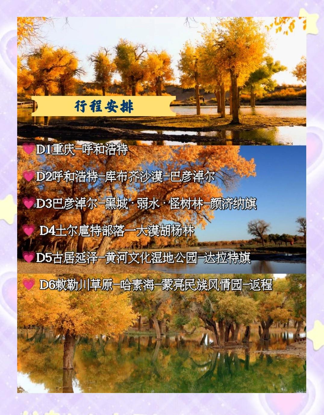 额济纳旗旅游攻略_额济纳旗旅游攻略干货